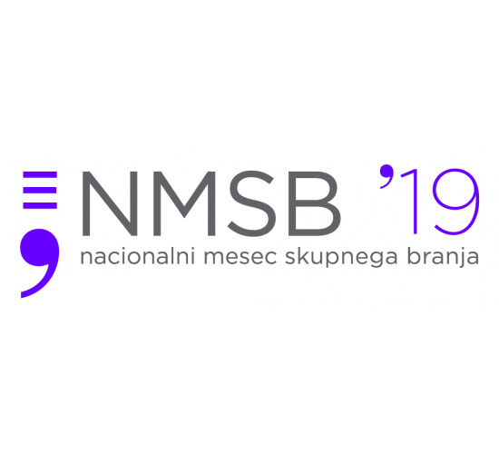 NSBM19 logo